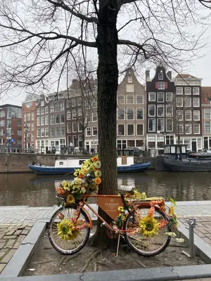 Ámsterdam<i>  by Leandraimaculadalemosnunes</i>
