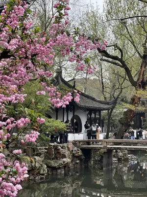 Suzhou<i>  by Meng</i>