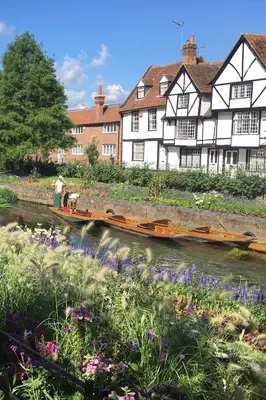 Canterbury<i>  by Abiguzman</i>