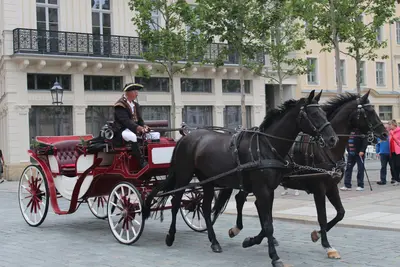 Dresde<i>  by AleCastroH</i>