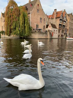 Brujas<i>  by Alorena.cl</i>