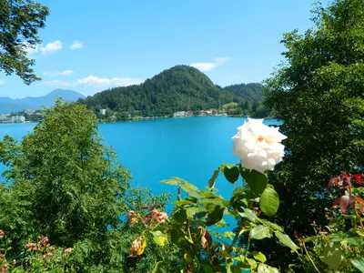 Bled<i>  by Andrea</i>