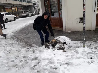 Bratislava<i>  by Antinoric</i>