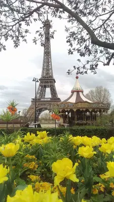 París<i>  by Carla</i>