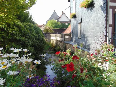 Goslar<i>  by Carlota</i>