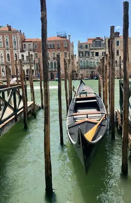 Venice<i>  by Caro</i>