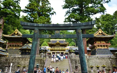 Nikko<i>  by CARVIC</i>