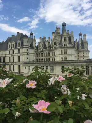 Chambord<i>  by ClauUy</i>