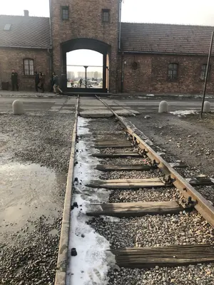 Auschwitz<i>  by _Daniirodriguez</i>