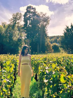 Savigny Castle<i>  by CristtyRs</i>