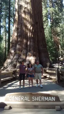 Sequoia National Park<i>  by Marcela07</i>