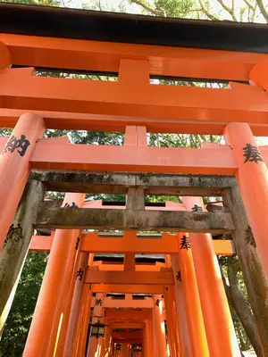 Kioto<i>  by MauCndjas</i>