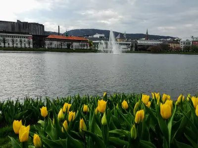 Bergen<i>  by Nerva</i>