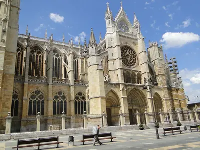 León<i>  by Olga</i>