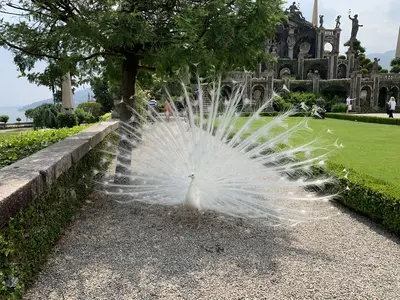 Lakes Region<i>  by Otaviosjr</i>