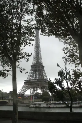 Paris<i>  by Susannagiorgio</i>