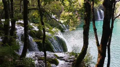 Plitvice<i>  by pauloportugal</i>