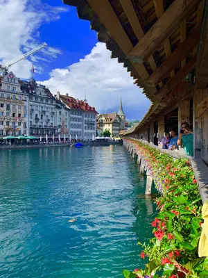 Lucerne<i>  by ROUS</i>