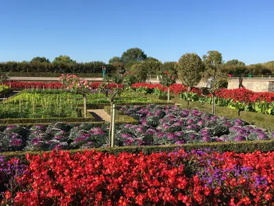 Villandry<i>  by Roza</i>