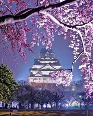 Himeji<i>  by Vcortag</i>