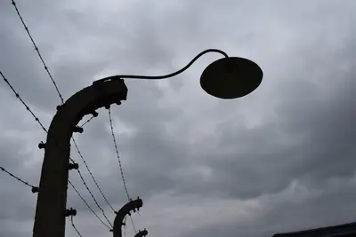 Auschwitz<i>  by Veicord</i>