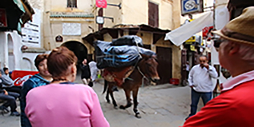 Fez - Tangier