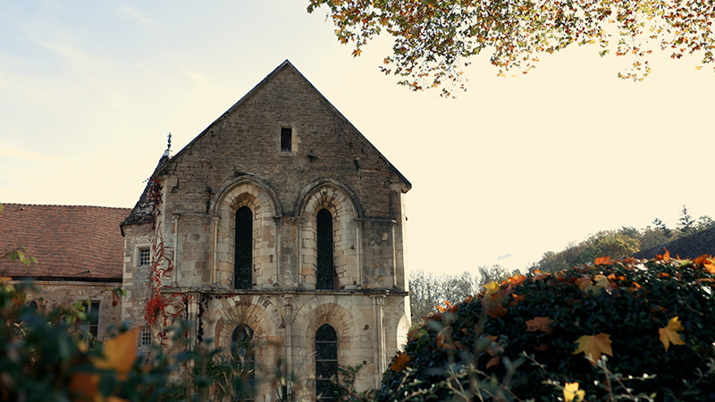 Dijon- Abadía de Fontenay- Semur en Auxois- Vézelay- Paris.