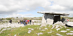 Limerick- Bunratty-  Acantilados de Moher- Galway.