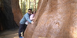 Bakersfield- Gran Sequoya ParK- Fresno