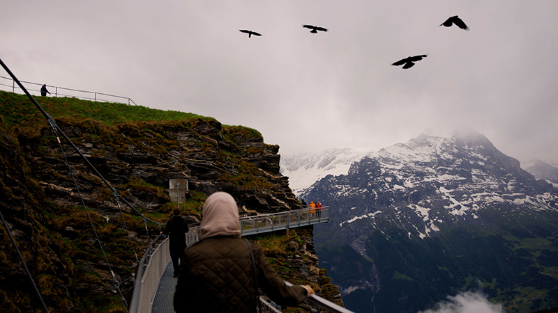 Videos of Harmonious Europe 2024 - European Tours